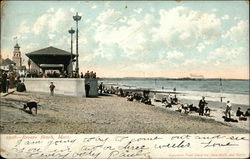 View of Beach Postcard