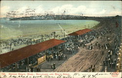 Boulevard and Beach Scene Postcard