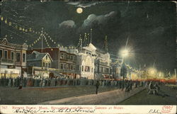 Boulevard and Nautical Garden at Night Postcard