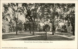 Harvard College - Harvard Yard Postcard