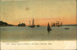 Fishing Vessels at Anchor in the Harbor Gloucester, MA Postcard Postcard