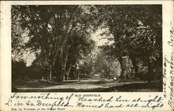 Old Deerfield Postcard