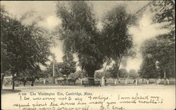 The Washington Elm Cambridge, MA Postcard Postcard