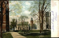 Harvard Grounds Postcard