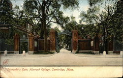 Harvard College - Johnson's Gate Postcard