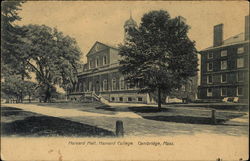 Harvard College - Harvard Hall Cambridge, MA Postcard Postcard