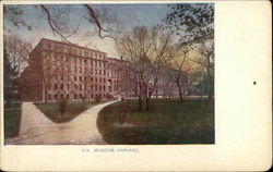 Harvard College - Museum Cambridge, MA Postcard Postcard