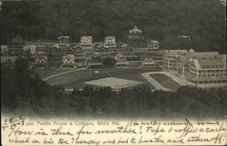 Profile House & Cottages, White Mts Franconia Notch, NH Postcard Postcard