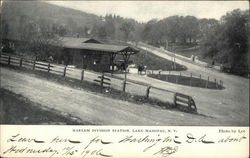 Harlem Division Station Lake Mahopac, NY Postcard Postcard