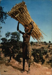 L'Afrique en couleurs - Porteuse de fagots / Africa in pictures - Woman carrying faggots Postcard Postcard