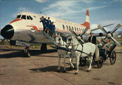 The Friendly Airline and a Horse Cart from Vienna Austria Postcard Postcard