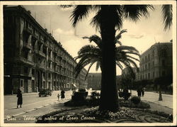 Teorie di palme al Corso Cavour Postcard