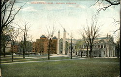 Harvard Grounds Cambridge, MA Postcard Postcard