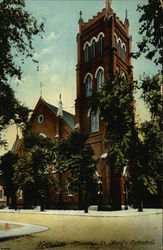 St. Mary's Cathedral Postcard