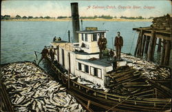 A Salmon Catch, Coquille River Postcard