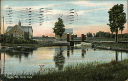 Duck Pond Togus, ME Postcard Postcard