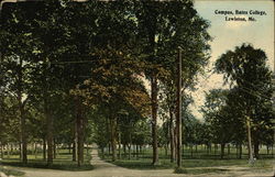 Bates College Campus Postcard