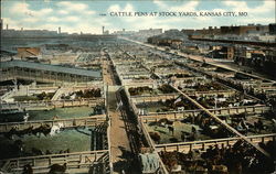 Cattle Pens at Stock Yards Postcard