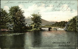 Rustic Bridge, Chocorua Lake Postcard