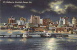 Skyline By Moonlight Postcard