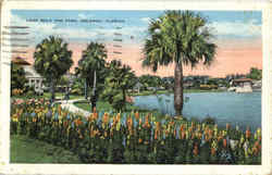 Lake Eola And Park Postcard