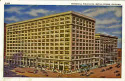 Marshall Field & Co. Retail Store Postcard