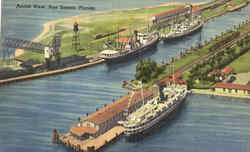 Aerial View Port Tampa, FL Postcard Postcard