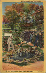 Miniature Natural Hot Springs, Hot Spring National Park Arkansas Hot Springs National Park Postcard Postcard