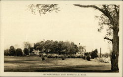 The Northfield Postcard