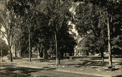 View of Residential Street Postcard