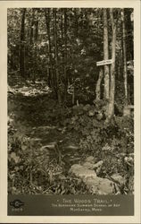 The Berkshire Summer School of Art - The Woods Trail Postcard