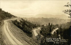 Switchback on the Redwood Highway Postcard