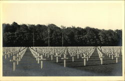 American Cemetery Postcard