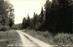 Rural Road at Lake St. Helen Postcard