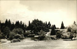 Point Defiance Park Tacoma, WA Postcard Postcard