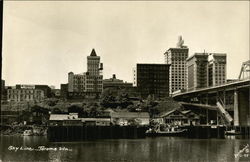 Sky Line Postcard