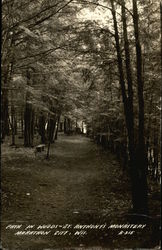 Path in Woods, St. Anthony's Monestery Marathon City, WI Postcard Postcard