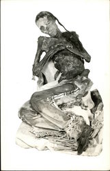 Mummified Remains Postcard