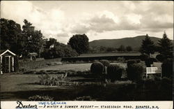 Dexter's Sunapee, NH Postcard Postcard