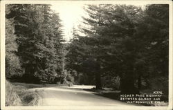 Hecker Pass Highway Postcard