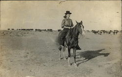 Woman On Horse With Herd Of Cattle Kansas Postcard Postcard