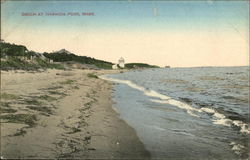 Beach at Harwich Point, Mass Harwich Port, MA Postcard Postcard