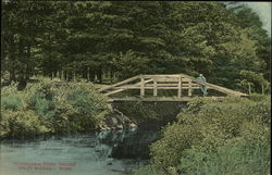 Woodlawn Park Bridge Postcard