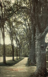 Looking Down Kimble Street Postcard