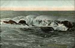 Surf Scene Postcard