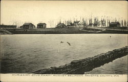 Nursery Stud Farm, August Belmont Lexington, KY Postcard Postcard