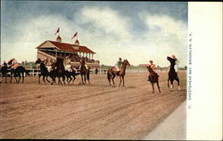 Sheepshead Bay Postcard