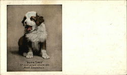 "Born Tired" - Small Yawning Puppy Postcard