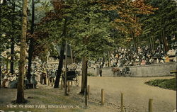 View in Ross Park Binghamton, NY Postcard Postcard