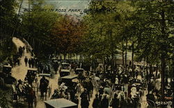 Busy Day in Ross Park Binghamton, NY Postcard Postcard